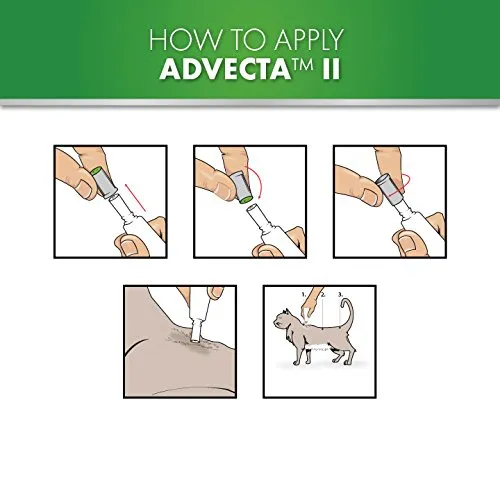 Advecta II Flea Treatment for Cats over 9 lbs, 4 Month Supply