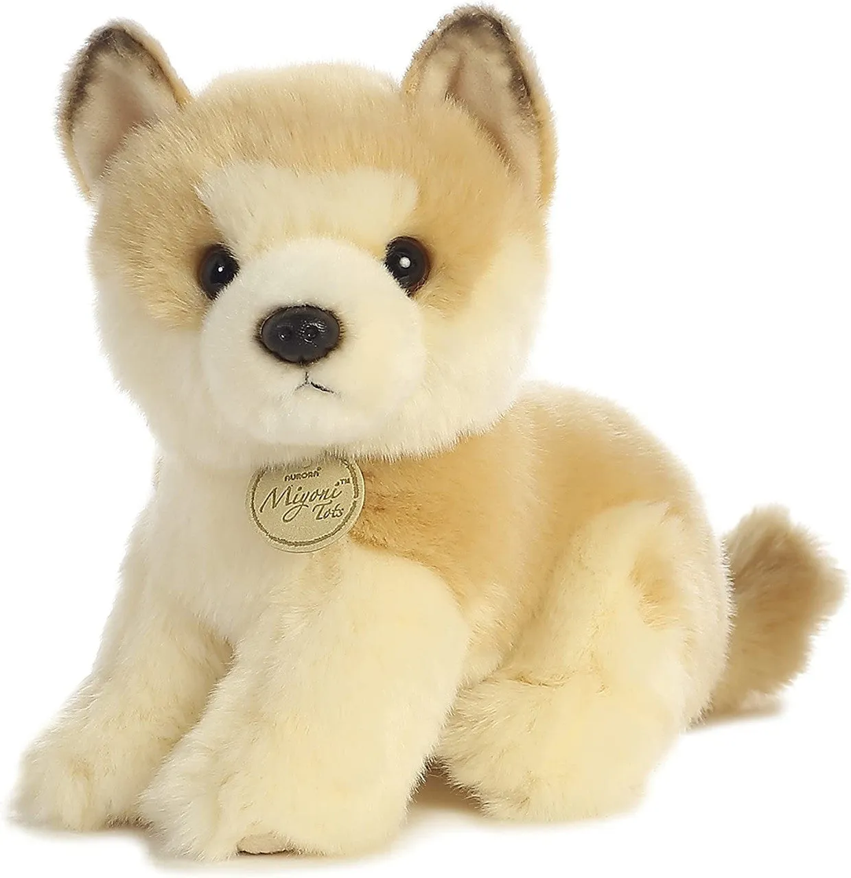 Akita Puppy