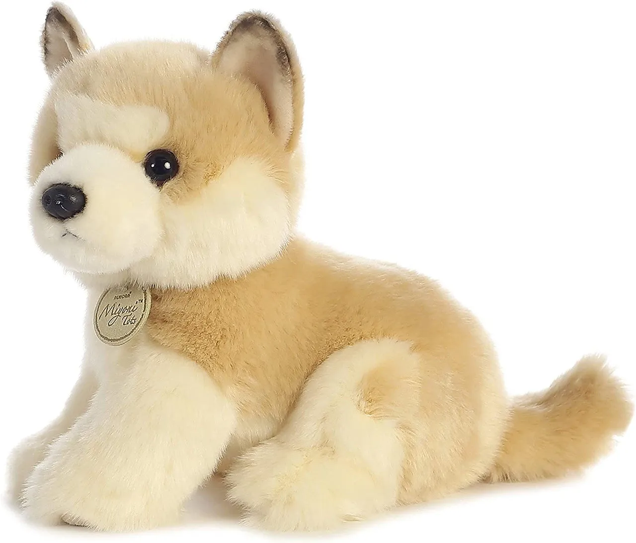Akita Puppy
