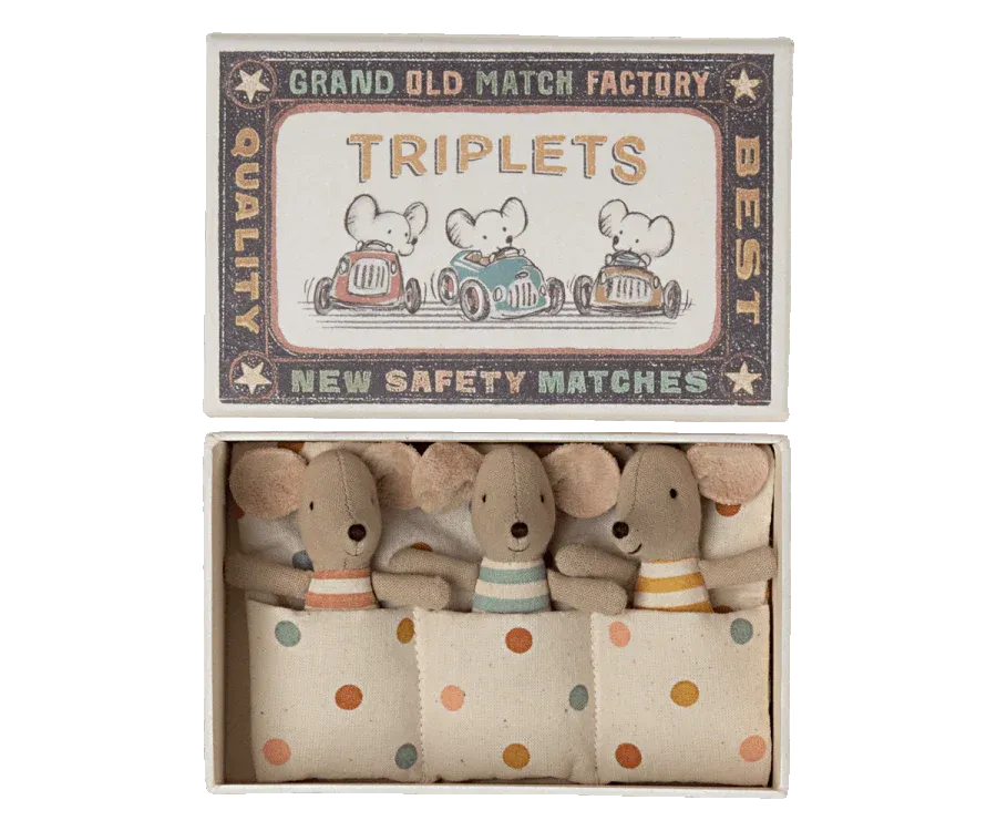 Baby Triplets in Box