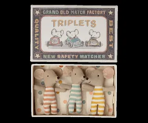 Baby Triplets in Box