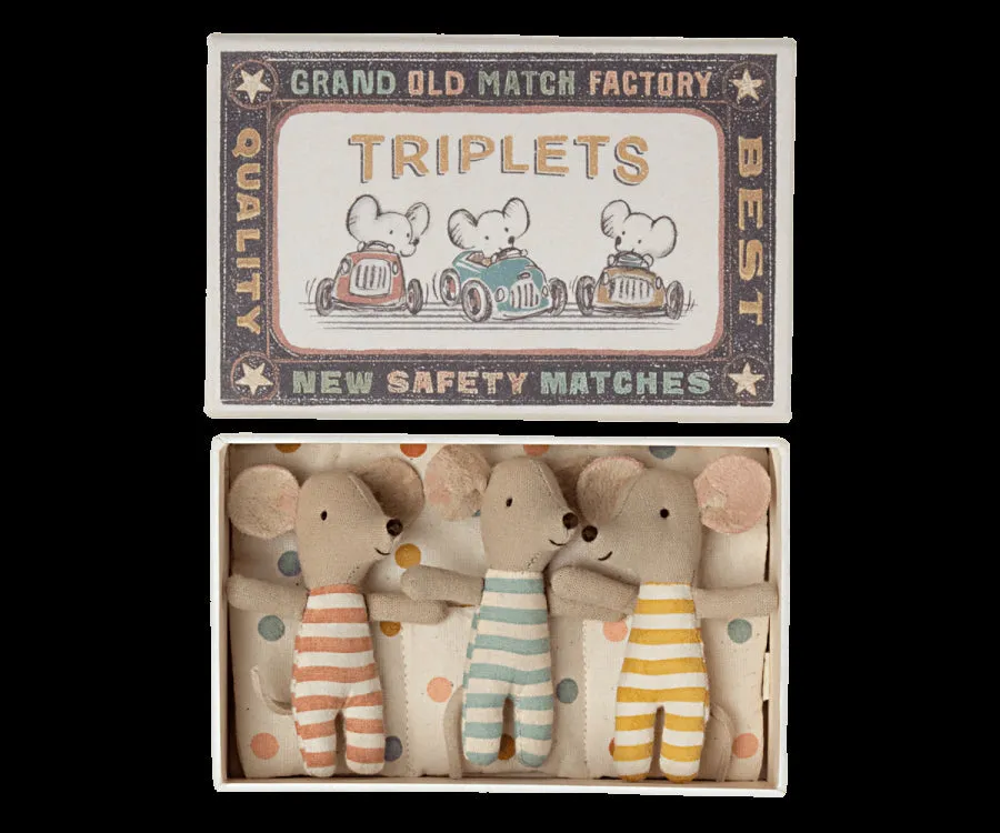 Baby Triplets in Box