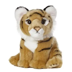 Bengal Tiger Cub