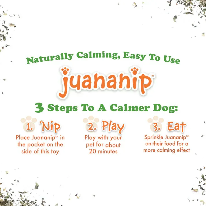 Doggijuana Get the Pawty Started Refillable Cake Slice Dog Toy