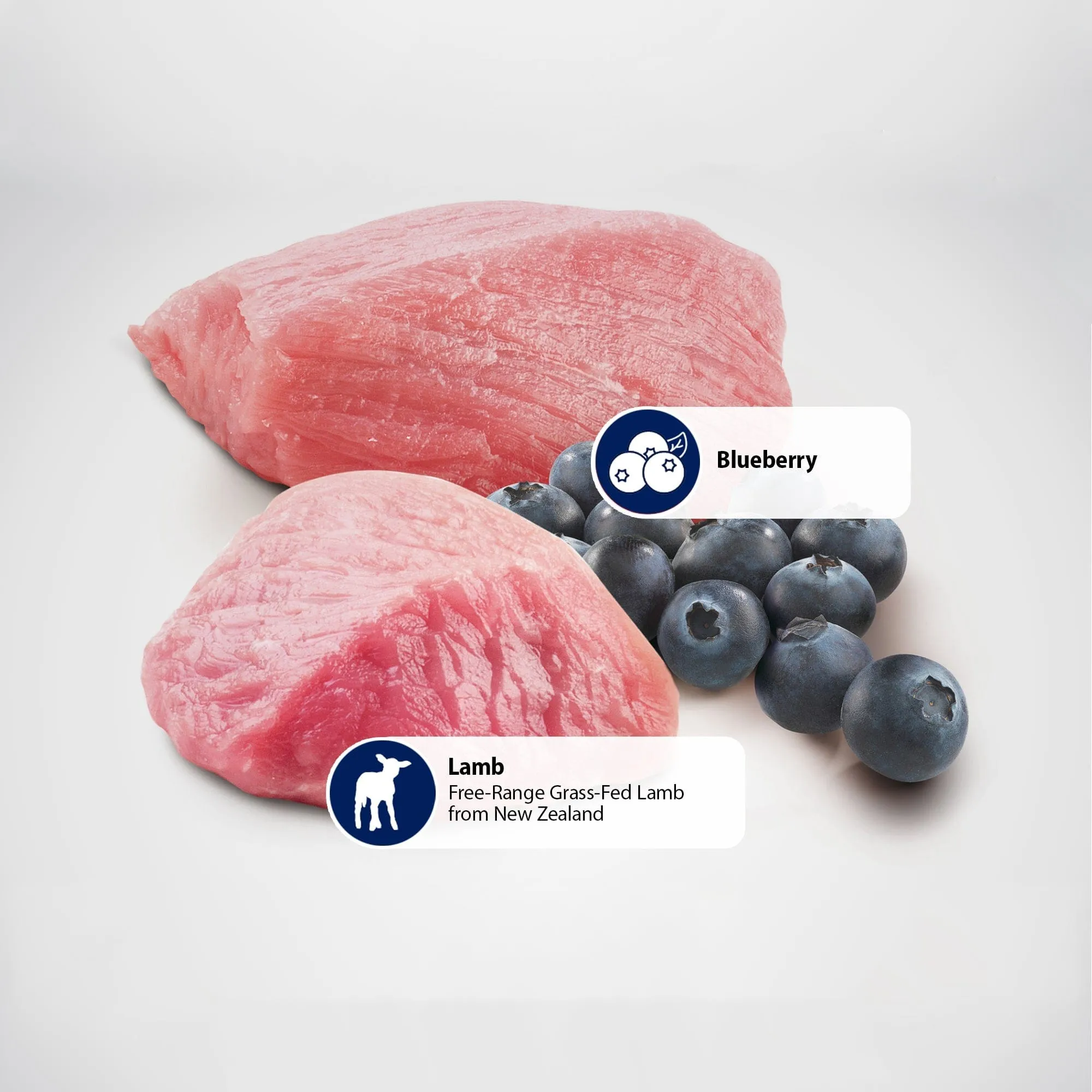 Farmina N&D Prime Grain Free Lamb & Blueberry Medium & Maxi Adult Dry Dog Food