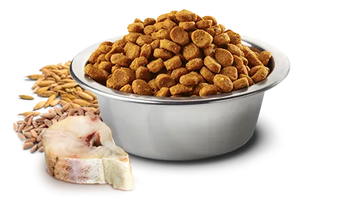 Farmina Natural & Delicious Ocean Cod, Spelt, Oats & Orange Adult Medium & Maxi Dry Dog Food