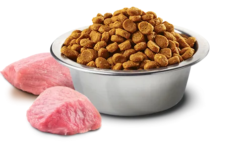 Farmina Prime N&D Natural & Delicious Lamb & Blueberry Adult Medium & Maxi Dog Food