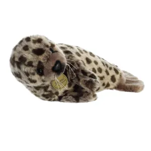 Harbor Seal