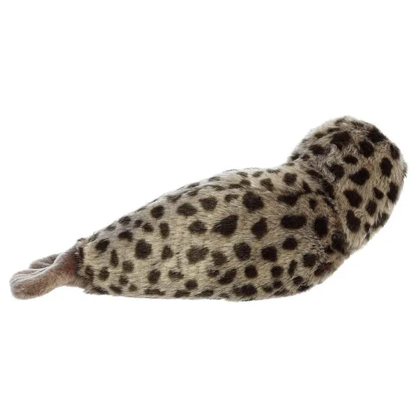 Harbor Seal