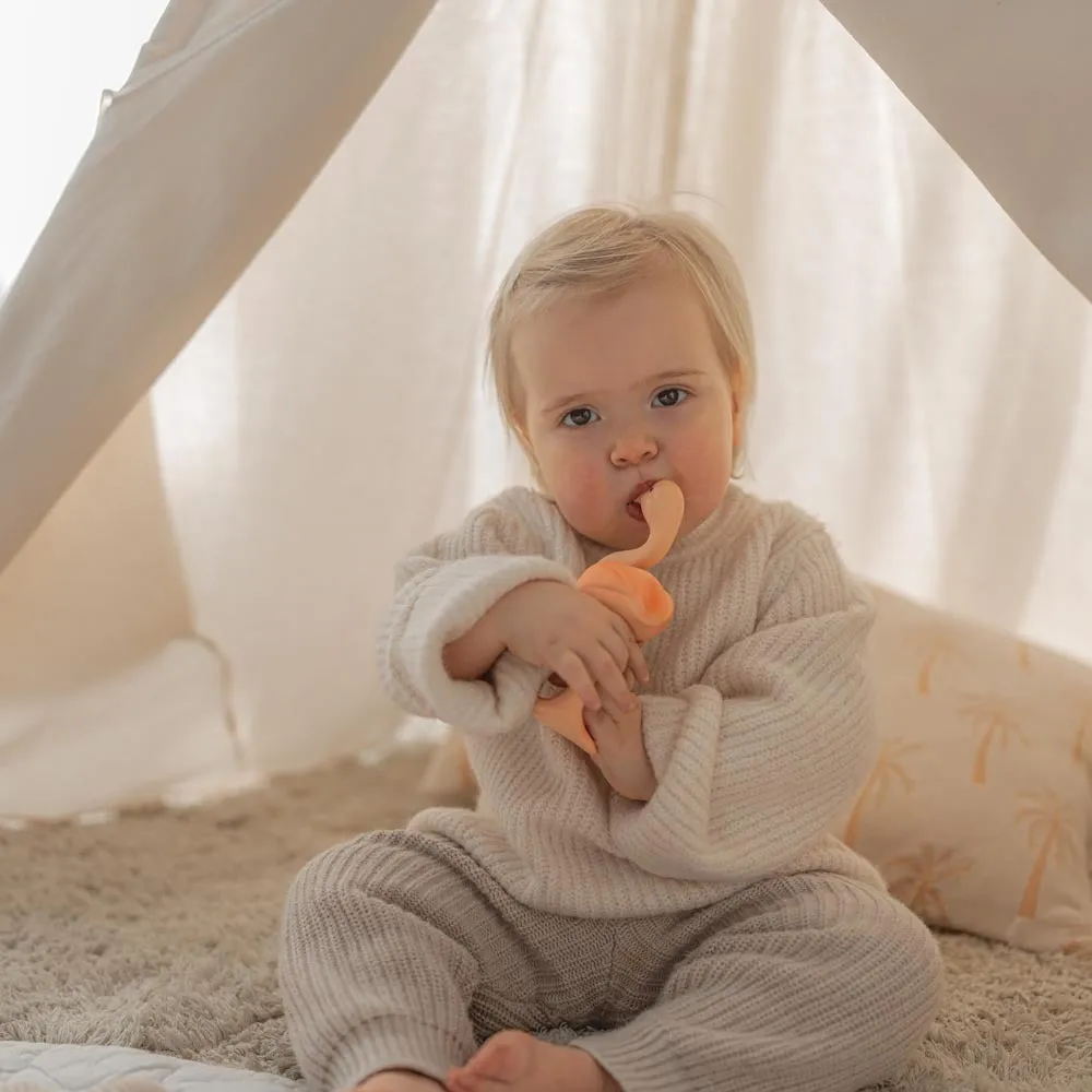Lingo The Flamingo Teether
