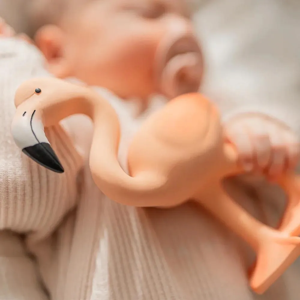 Lingo The Flamingo Teether