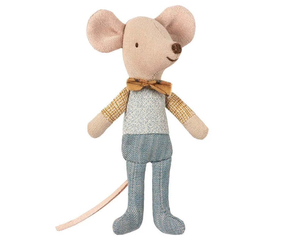 Little Brother Mouse in Box