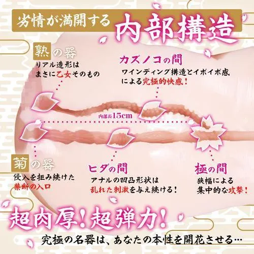 Magic Eyes - Kiwami Wet Vagina Dual Hole Masturbator