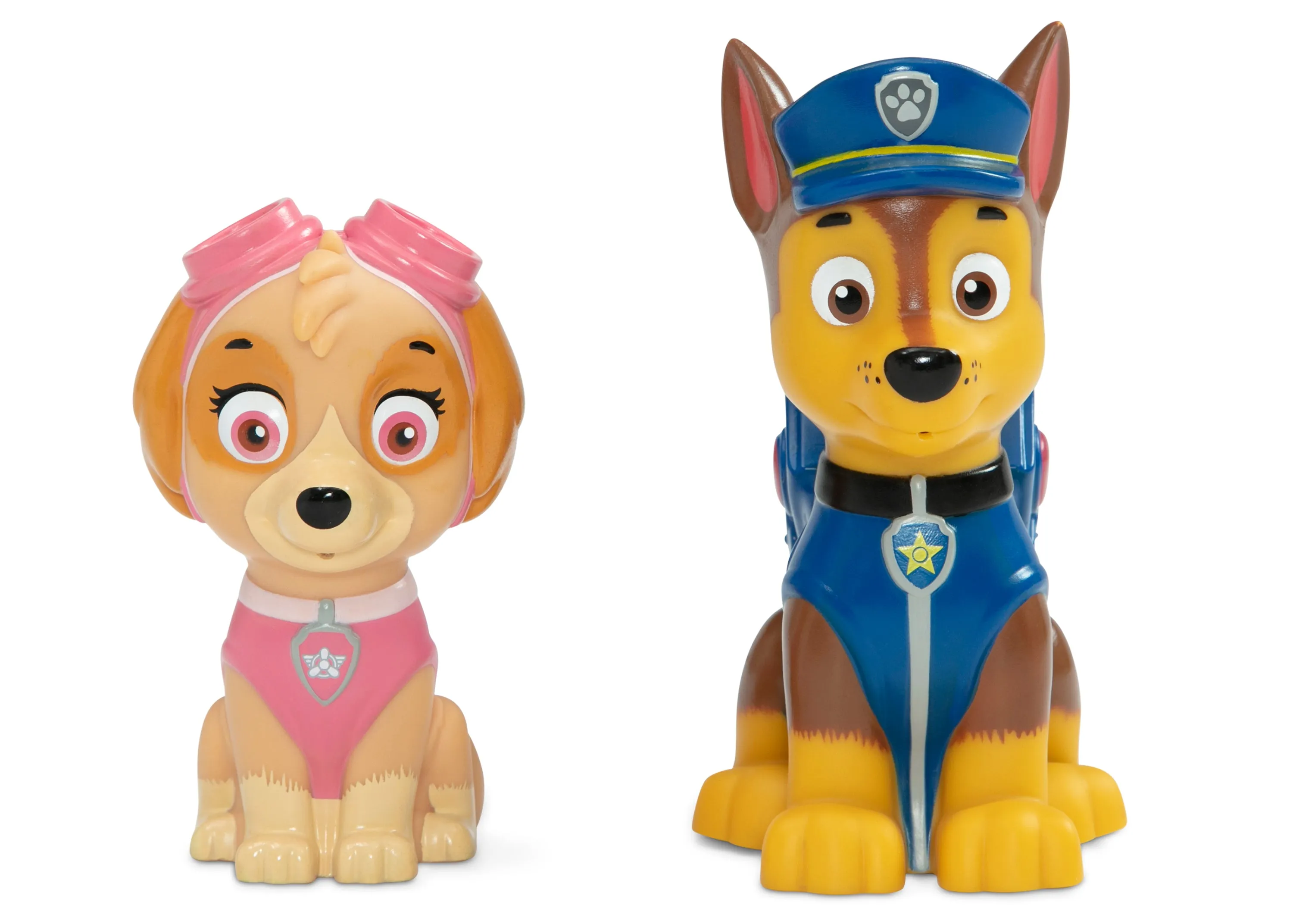 PAW Patrol Water Table