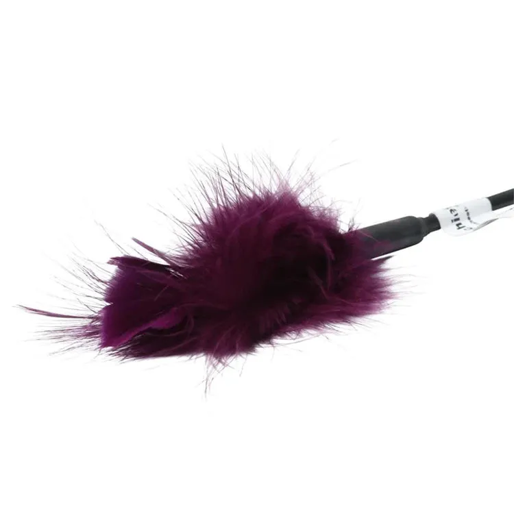 Purple Feather Tickler