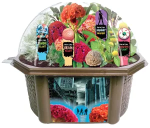 Toys By Nature Zombie Apocalypse Biosphere Terrarium Kit ‚Äì House of Horrors